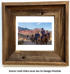 horse trail rides near me in Mango, Florida